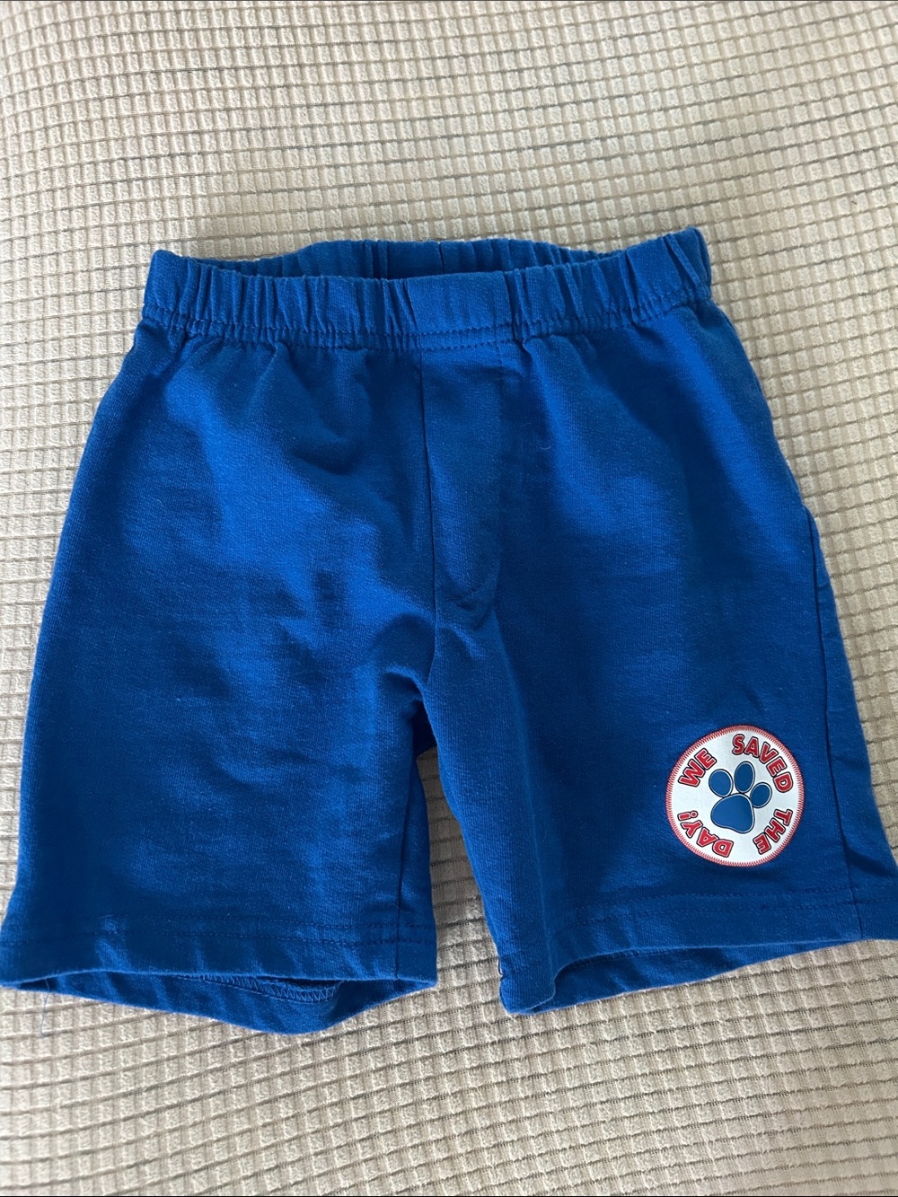 Paw Patrol Royal Blue Elastic Waist Shorts with Paw Patch